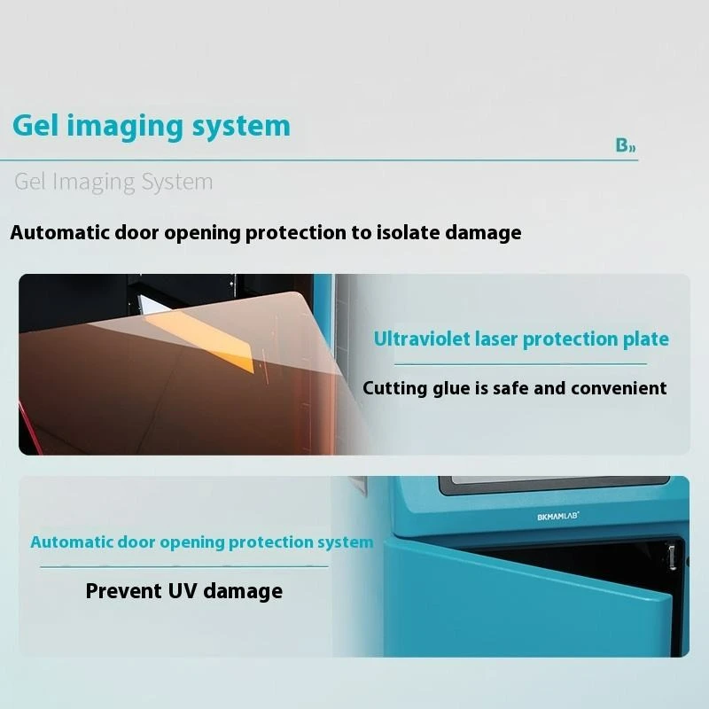 Chemiluminescence Imaging System best