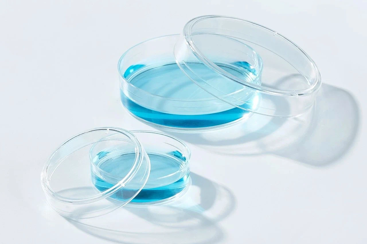 PS petri dish PS petri dish